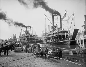 Boats Prints: Sternwheeler paddleboats line up a the Vicksburg, Mississippi landing, 1910-1920