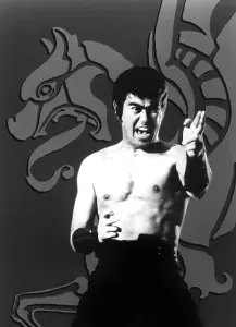 Stance Prints: THE STREETFIGHTER, (aka GEKITOTSU! SATSUJIN KEN), Sonny Chiba, 1974