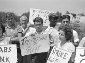 Lcgr1305 Prints: Striking farm workers picketing the King Farm near Morrisville