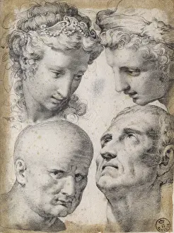 Hair Prints: Four studies of the head, by Francesco Morandini said Poppi