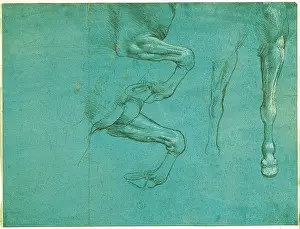 Motion Prints: Studies of horse front legs, by Leonardo da Vinci