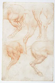 Sketch Prints: Studies of the horse rear legs