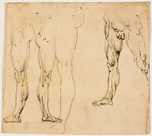 Pen And Ink Prints: Studies of male legs, by Leonardo da Vinci