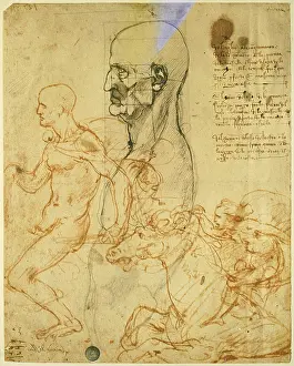 Motion Prints: Studies of Proportions and for the Battle of Anghiari (Male torso in profile with scheme of proportions)