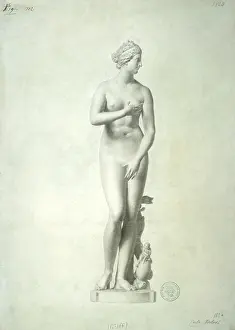 Study Prints: Study of the Medici Venus (Studio della Venere Medici)