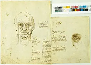 Note Prints: Study of the proportions face and eye