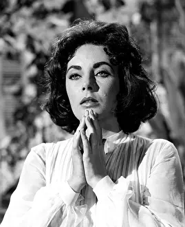 Jsx 65 Prints: SUDDENLY LAST SUMMER, Elizabeth Taylor, 1959