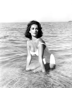 Images Dated 8th September 2014: SUDDENLY LAST SUMMER, Elizabeth Taylor, 1959