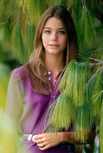 1970s Hairstyles Prints: Susan Dey of THE PARTRIDGE FAMILY, 1970