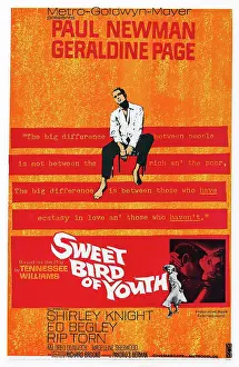 Newman Prints: SWEET BIRD OF YOUTH, US poster art, Paul Newman, 1962