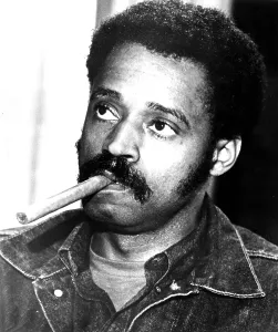 Afro Prints: SWEET SWEETBACK'S BAADASSSSS SONG, Melvin Van Peebles, 1971