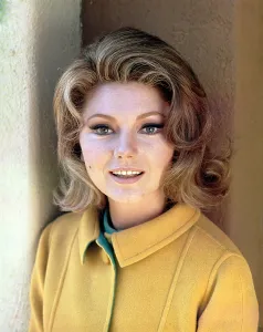 Sylva Koscina, 1960s