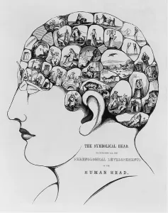 Skulls Prints: The Symbolical Head, Illustrating All the Phrenological Developments of the Human Head