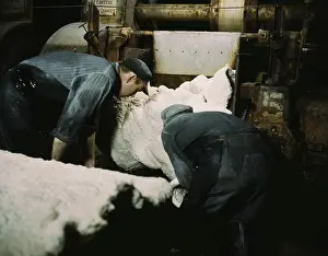 Rubber Prints: Synthetic rubber coming off the rolling mill in which the crumbs of rubber are squeezed dry of excess water