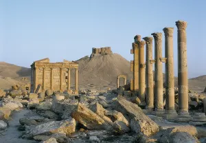 Syria Prints: SYRIA. Palmira. Great Colonnade