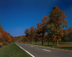 Images Dated 24th December 2007: Taconic State Parkway