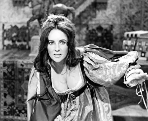 Jsx 65 Prints: THE TAMING OF THE SHREW, Elizabeth Taylor, 1967