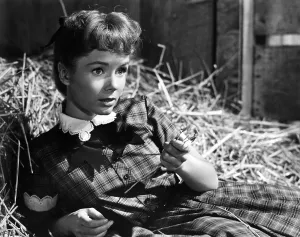 Debbie Prints: TAMMY AND THE BACHELOR, Debbie Reynolds, 1957
