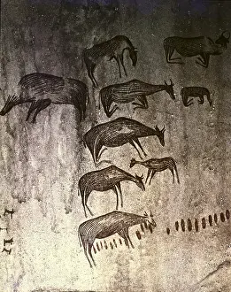 Stone Age Prints: TANZANIA. Kondoa Irangi. Animals grazing