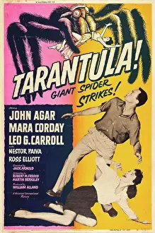 Horror Prints: TARANTULA, John Agar, Mara Corday, 1955