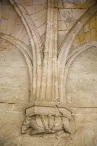 Cathedral Of St Prints: Tarragona Cathedral of St. Mary