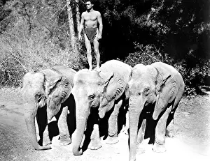 Weissmuller Prints: TARZAN THE APE MAN, Johnny Weissmuller, 1932