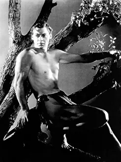 Jsx 74 Prints: TARZAN THE APE MAN, Johnny Weissmuller, 1932