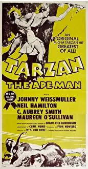 Wild Animals Prints: TARZAN, THE APE MAN, top from left: Maureen O'Sullivan, Johnny Weissmuller, 1932