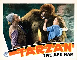 Hairy Prints: TARZAN THE APE MAN, lobbycard, from left: C