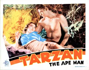 Laying Down Prints: TARZAN THE APE MAN, US lobbycard
