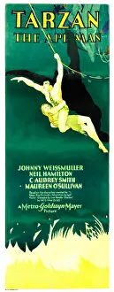 Weissmuller Prints: TARZAN THE APE MAN, Maureen O'Sullivan, Johnny Weissmuller, 1932