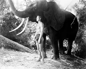 Weissmuller Prints: TARZAN ESCAPES, Johnny Weissmuller, 1936