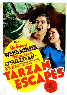 Yelling Prints: TARZAN ESCAPES, Johnny Weissmuller, Maureen O'Sullivan on midget window card, 1936