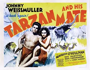 Title Card Prints: TARZAN AND HIS MATE, US poster