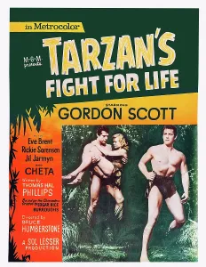 Brent Prints: TARZAN'S FIGHT FOR LIFE, US poster art