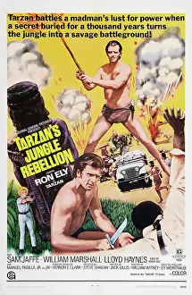 Loin Cloth Prints: TARZAN'S JUNGLE REBELLION, top and bottom: Ron Ely as Tarzan on poster art, 1967