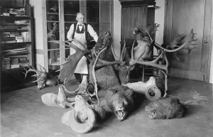 Images Dated 11th June 2008: Taxidermy, Joseph W. Schollick