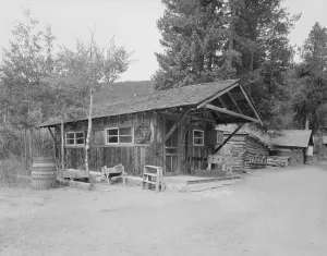Images Dated 11th June 2008: Taxidermy Shop, Holzwarth Trout Lodge