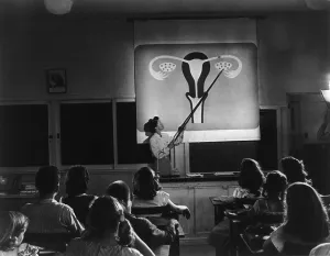 Public Health Prints: Teacher points to a diagram of female reproductive organs in a Sex Education class