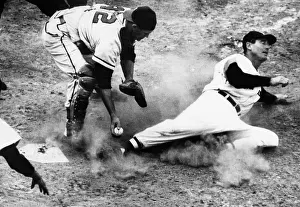 Sports Prints: Ted Williams of the Boston Red Sox