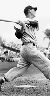 Batting Prints: Ted Williams of the Boston Red Sox, ca