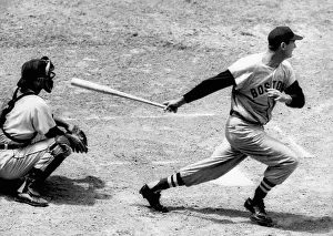 Batting Prints: Ted Williams of the Boston Red Sox