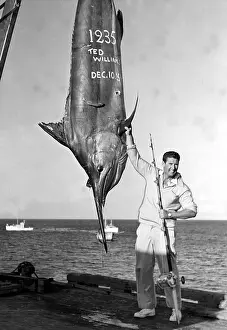 Fishing Prints: Ted Williams displays deep-sea fishing catch