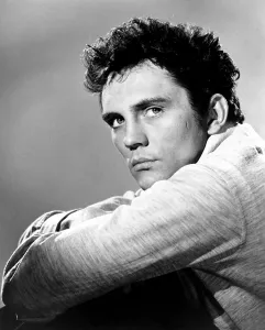 Terence Prints: Terence Stamp, 1960s