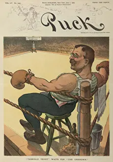 Stool Prints: TERRIBLE TEDDY WAITS FOR THE UNKNOWN, cartoon in PUCK Magazine, June 1, 1904