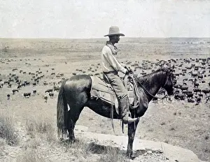 Ranch Prints: A Texas cowboy on horseback on a knoll looking down at a herd of cattle on the range