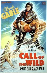 Images Dated 29th December 2004: THE CALL OF THE WILD, Clark Gable