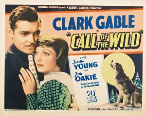 Gable Prints: THE CALL OF THE WILD, US lobbycard