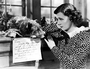 Terrier Prints: THEODORA GOES WILD, Irene Dunne, 1936