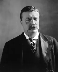 Theodore Roosevelt, 1902 bust portrait, with unusual soft and reflective expression